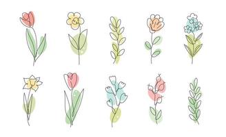Vector set flowers and branches in simple minimalist continuous outline line style for logo, wedding design, greeting cards. Spring Summer floral collection. Hand drawn line.