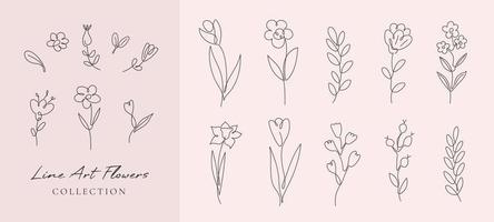 Vector set flowers and branches in simple minimalist continuous outline line style for logo, wedding design, tattoo. Hand drawn line herb, elegant wildflowers.