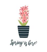 primavera es aquí. saludo tarjeta con mano dibujado letras y primavera flor en un maceta. estacional póster, bandera, invitación. vector