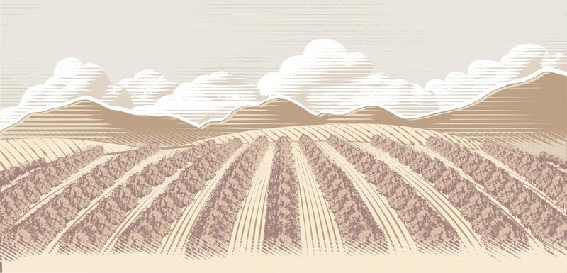 Field Vector Art, Icons, and Graphics for Free Download