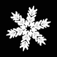 Snowflake icon .sample vector. vector