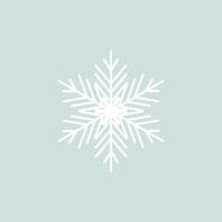 Snowflake icon .sample vector. vector