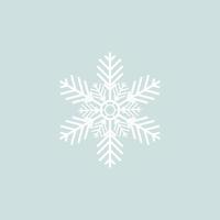 Snowflake icon .sample vector. vector