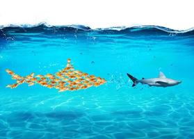 Big shark made of goldfishes attack a real shark. Concept of unity is strength, teamwork and partnership photo
