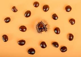 Stylish composition of chestnut on yellow background photo