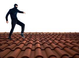 Thief on the roof photo