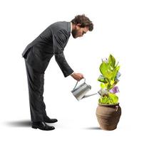 Businessman with a plant of money photo