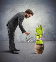 Businessman with a plant of money photo