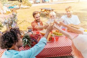 amigos tener un picnic y brindis con vino foto