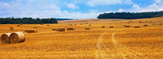 Beautiful landscape with hay straw bales after harvest in summer. Haystacks on field. banner photo