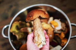 forest mushrooms in a basket on a wooden background. mushroom boletus in hand photo