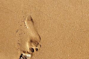 un humano pasos en un arenoso playa foto