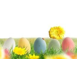 Easter decorations with colored eggs on meadow with flowers photo