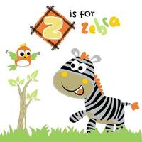 funny zebra with little bird, vector cartoon illustration