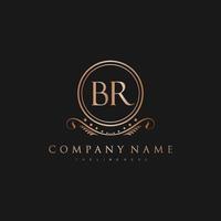 BR Letter Initial with Royal Luxury Logo Template vector