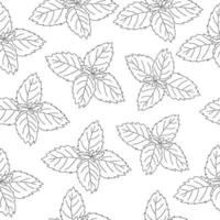 Seamless pattern of mint leaf icon. Isolated illustration of a mint leaf icon in linear style on a white background vector