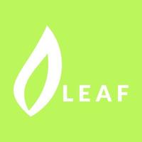 Leaf logo design template vector illustration