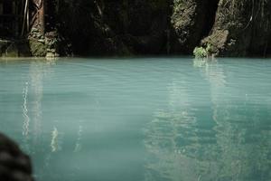 A tranquil river winds its way through a lush natural landscape, framed by tall trees and abundant vegetation. photo