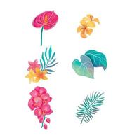 Beautiful watercolor Tropical Flowers vector