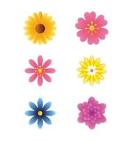 Beautiful flower set vector