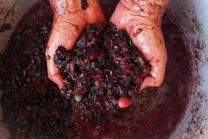 Concept of making homemade red wine. photo
