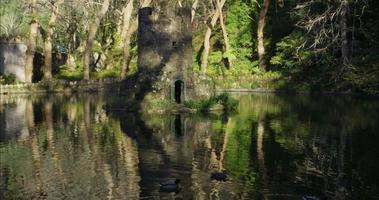 Pena Palast Gardens im Portugal video