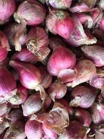 Close-up photo of an onion