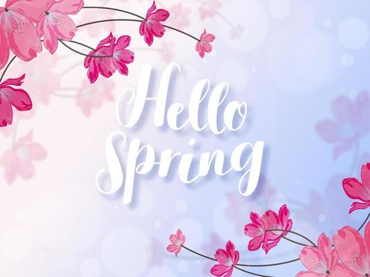 Hello Spring Font with Pink Flowers Decorated on Glossy Blue and White Background.