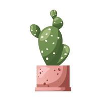 Cactus succulent houseplant in pot. Indoor potted house plant in flowerpot. Home garden, greenhouse, florarium, gardening lover. Domestic store poster, banner, flyer, advertising, promo. Cartoon vector