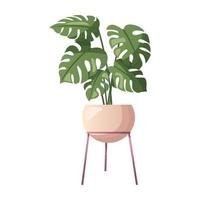 Decorative houseplant in pot. Indoor potted house plant in flowerpot. Home garden, greenhouse, florarium, gardening lover. Domestic store poster, banner, flyer, advertising, promo. Cartoon vector