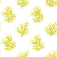 Botanical seamless pattern with yellow mimosa flowers and leaves on white background. Vector illustration for textile print, wallpaper, wrapping paper.