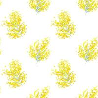 Botanical seamless pattern with yellow mimosa flowers and leaves on white background. Vector illustration for textile print, wallpaper, wrapping paper.