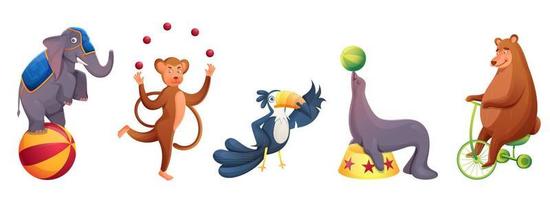 Circus Animals Doing Performance In Various Types On White Background. vector