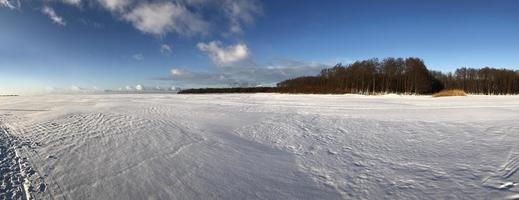 panorama, winter frozen lake, shore overgrown with forest photo