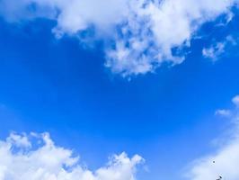 hermosa azul cielo rodeado por blanco nubes y pequeño aves volador en el esquina foto