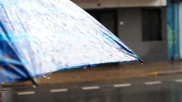 Mädchen mit Regenschirm im das Regen video