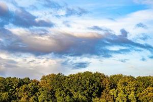 Beautiful horizon scenery in village meadow on color natural background photo