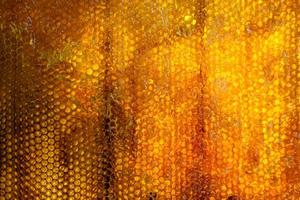 Drop of bee honey drip from hexagonal honeycombs filled with golden nectar photo