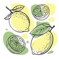 ☆lemon☆ 71K9unq2bTL._UF1000,1000_QL80_.jpg