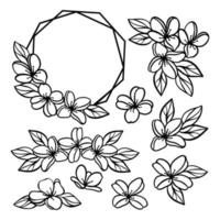 FLOWERS WEDDING Openwork Compositions From Jasmine For Print vector