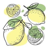 LEMON Delicious Fruit Hand Drawn Vector Illustration Set