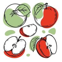 GREEN RED APPLE Delicious Fruit Sketch Vector Illustration Set