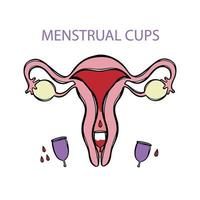 menstrual tazas cero residuos mano dibujado vector ilustración conjunto