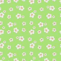 vector illustration seampless pattern white spring flowers on green background
