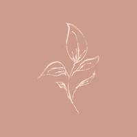 Sketch branch of leaves by hand on an isolated background vector