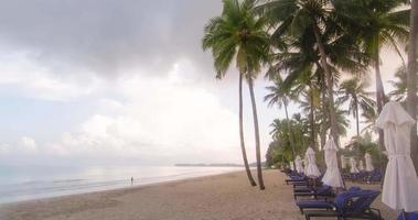 timelapse van luxe strand lounge bedden met paraplu Aan wit zand strand. strand met kokosnoot boom in Thailand met zonnig zomer weer blauw lucht video