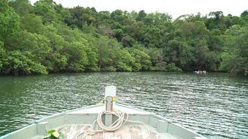 turistas disfrutando el ver a lo largo el río con remar a el koh bueno río. video