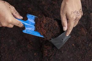 agricultores son utilizando un pala a poner el suelo mezcla Coco polvo en el guardería el plastico negro bolsa. a preparar para el planta de semillero cultura. foto