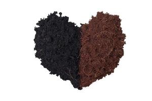 Concept heart shaped pile of soil and coconut dust is natural fertilizer for growing plants isolated on white background included clipping path. photo
