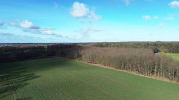 Antenne Aussicht von ein Drohne von ein Wald und Ackerland mit klein Land Straßen und Bauernhöfe im zwischen. video